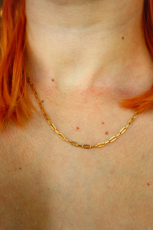 Paperclip Necklace